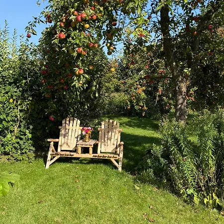 Holiday home Eulennest Reimershagen